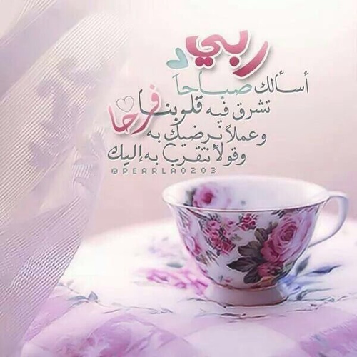 صور دعاء صباح الخير مع ورد - صور ورد وزهور Rose Flower images